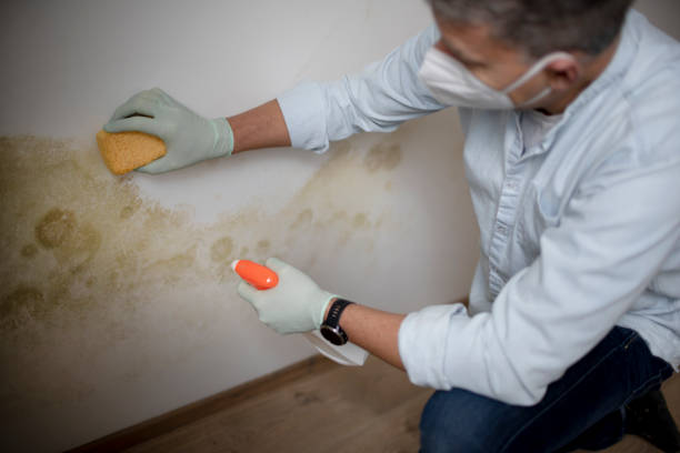 Trusted Mcsherrystown, PA Mold Remediation Experts